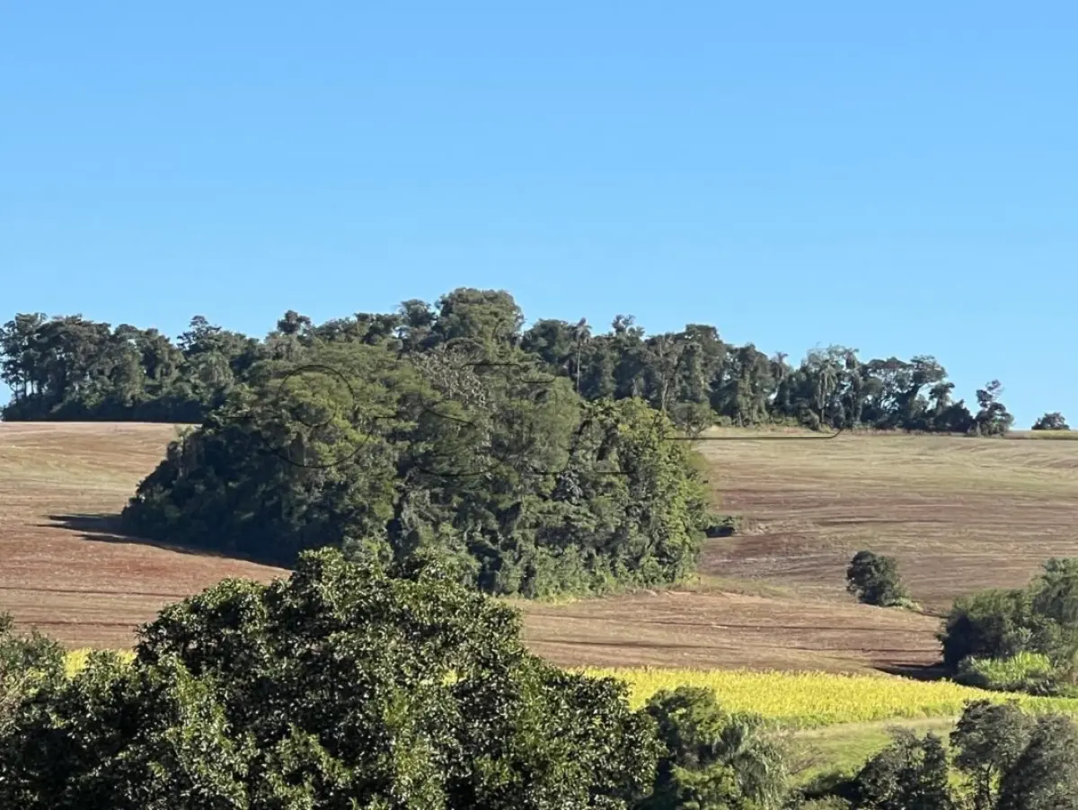 LOTE 001 - IMÓVEL RURAL
