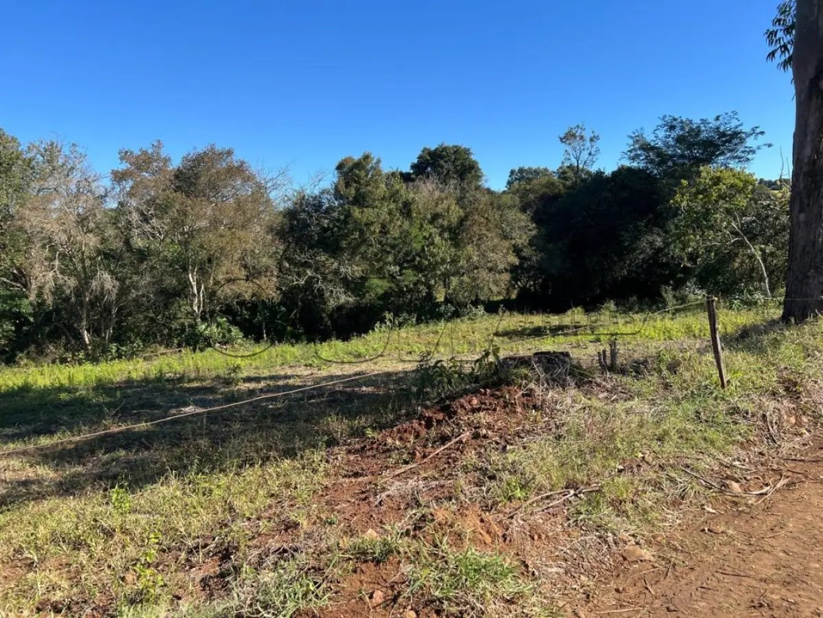 LOTE 001 - IMÓVEL RURAL