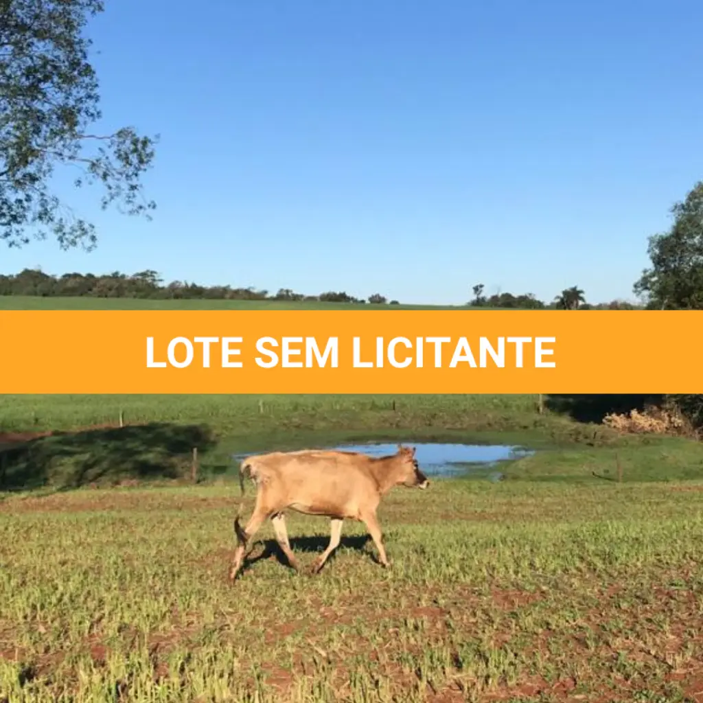 LOTE 004