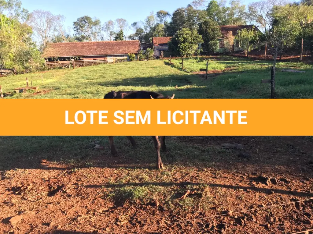 LOTE 003