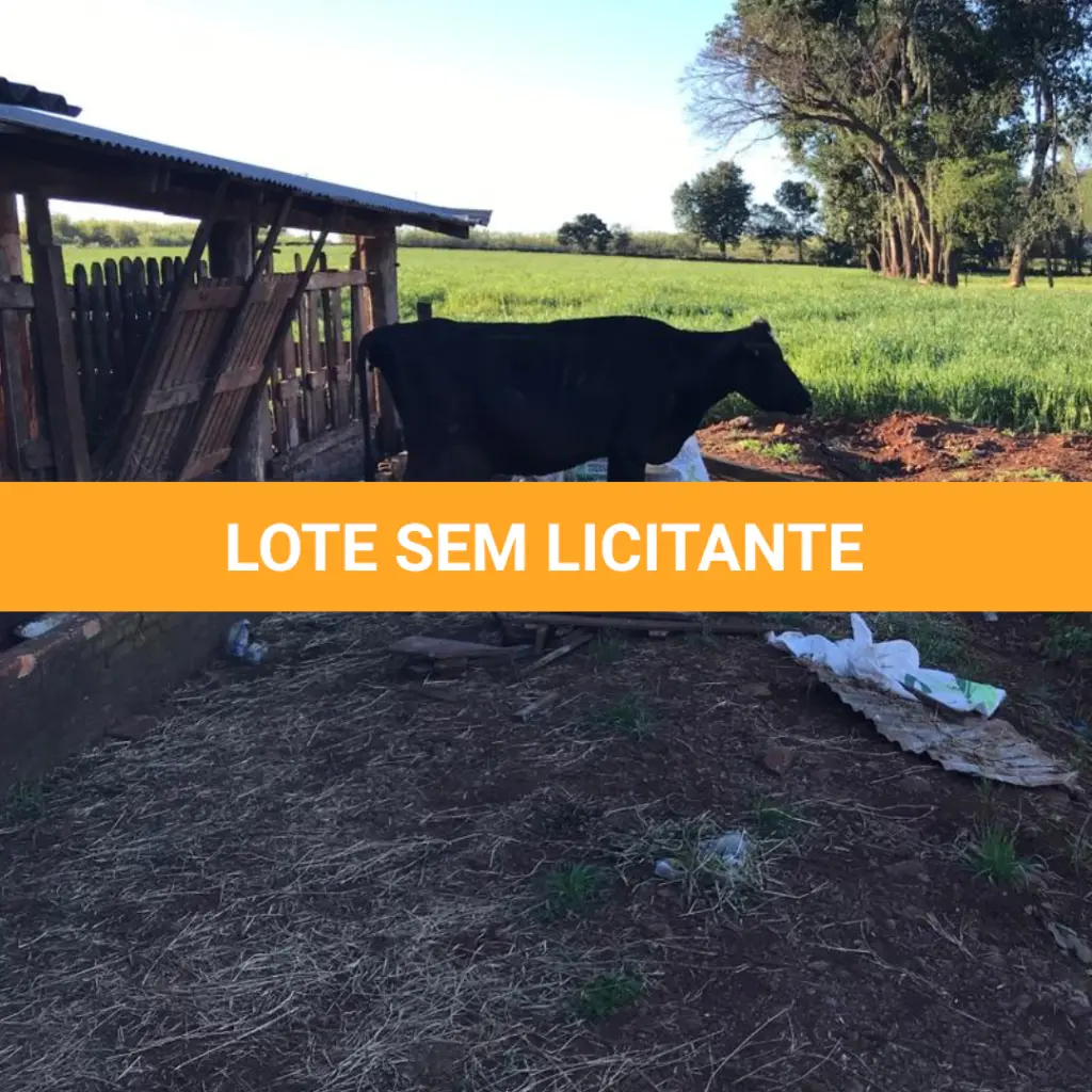 LOTE 005