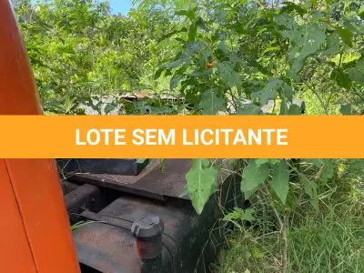 LOTE 002 - Caminhão