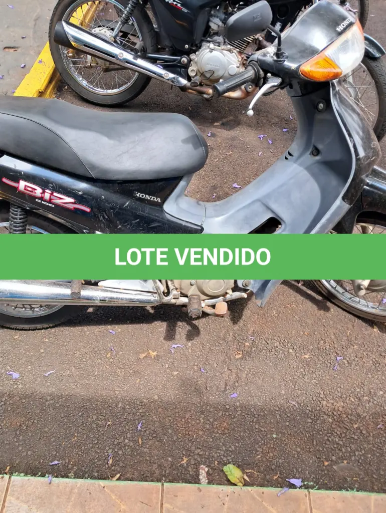 LOTE 002