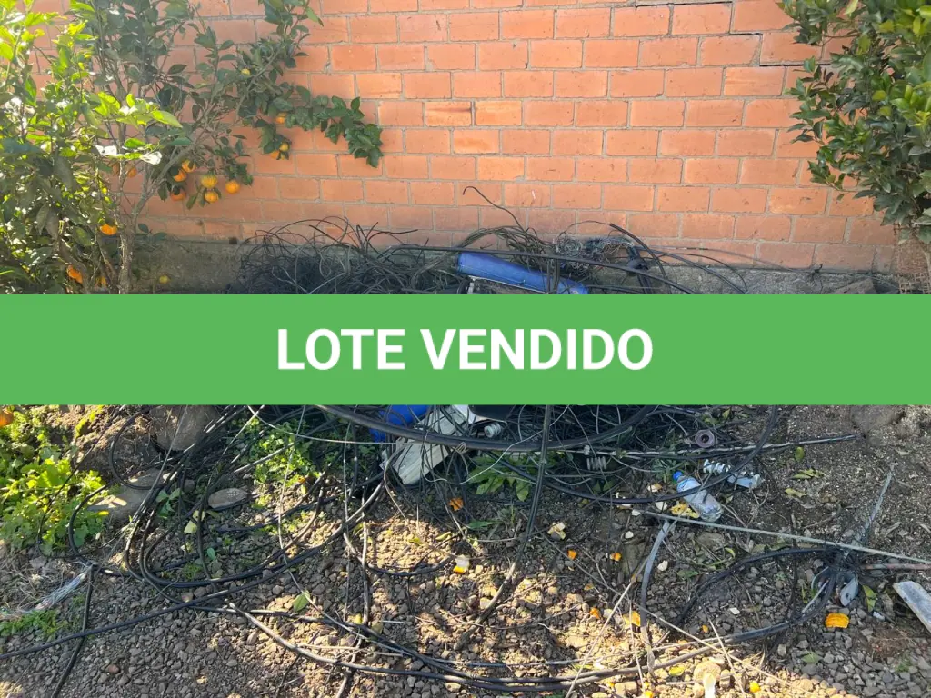 LOTE 006
