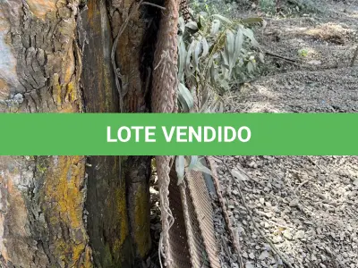 LOTE 018 - sucatas de peneiras e mandíbula para britagem