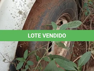 LOTE 006 - CAMINHONETE (AMBULÂNCIA) FORD TRANSIT TCA AMB, Placas ITA 0694, RENAVAM 00462519210