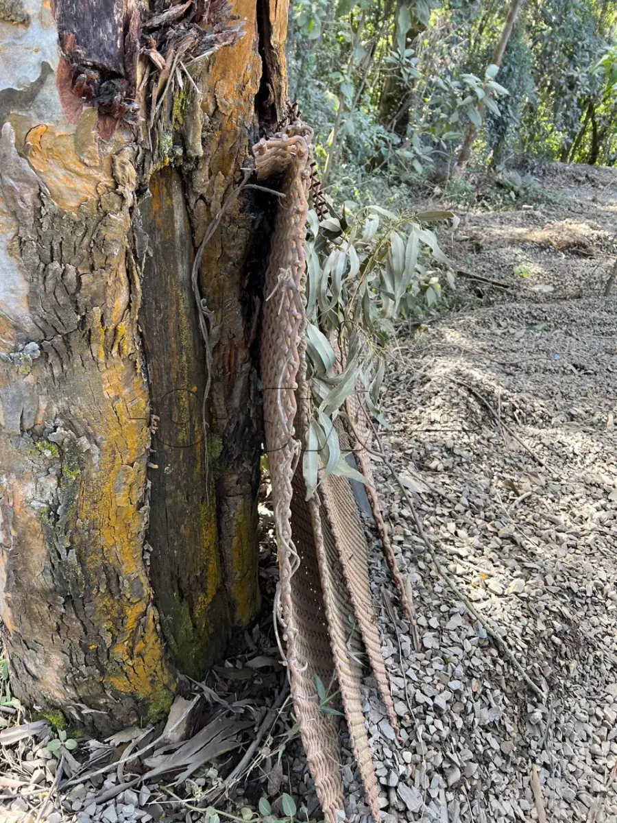 LOTE 018 - sucatas de peneiras e mandíbula para britagem