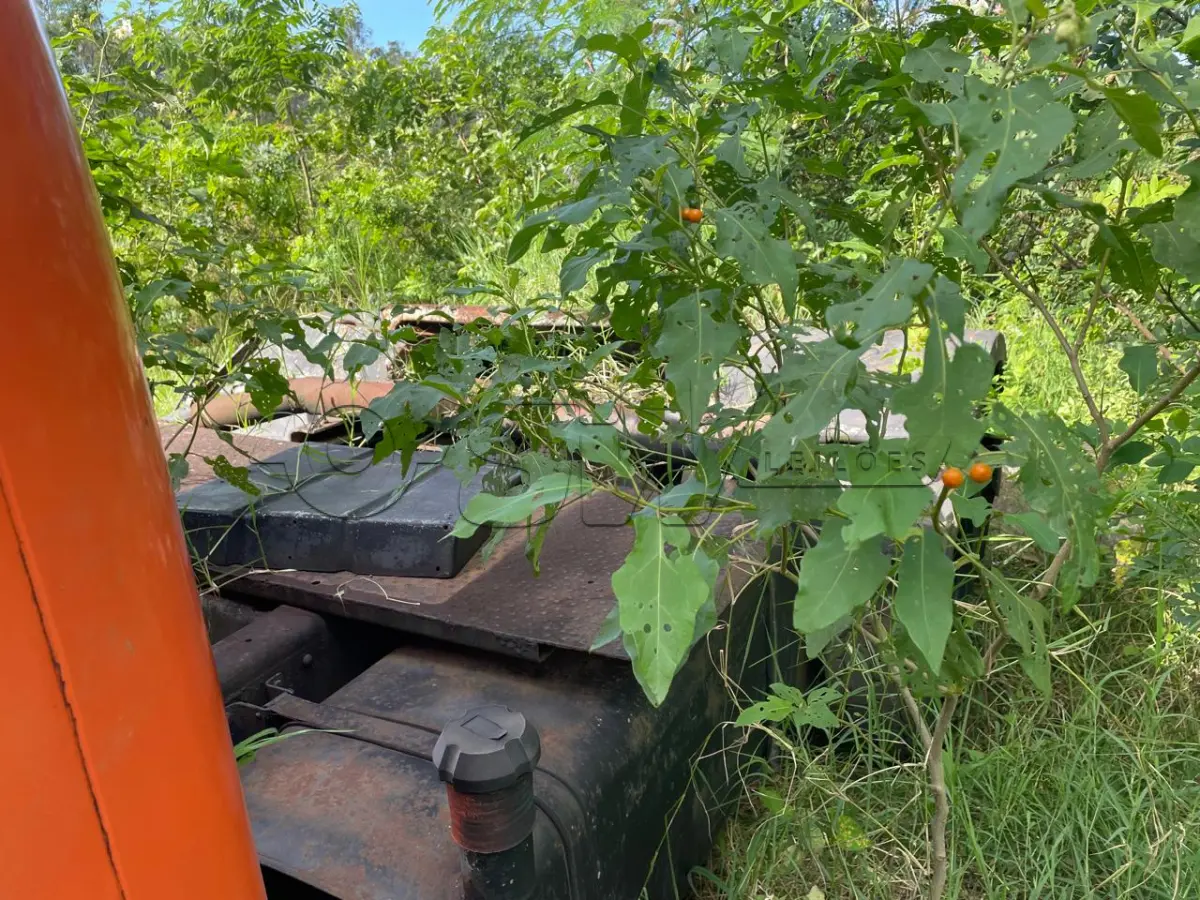 LOTE 002 - Caminhão