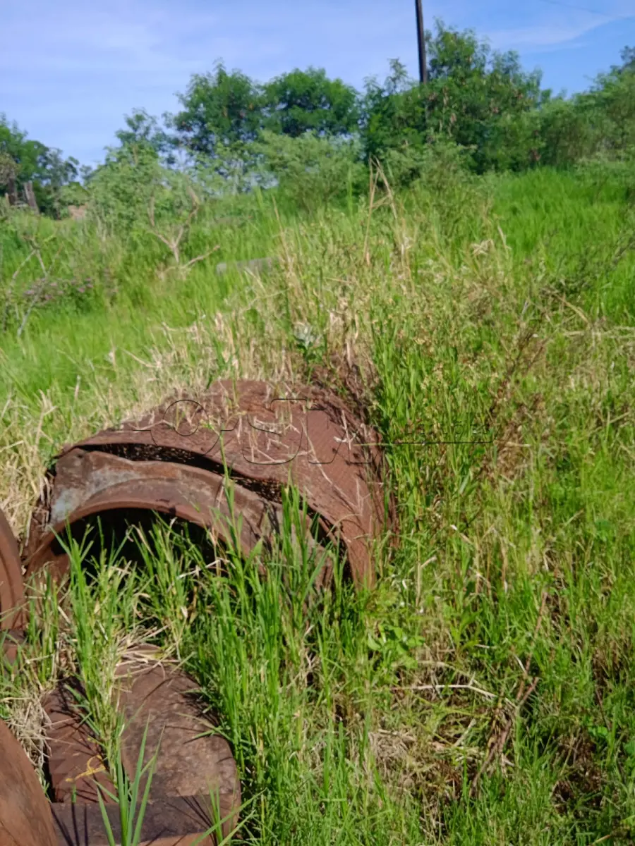 LOTE 001 - Peneira rotativa M Plang / Britador Plang / Dois Motores Weg
