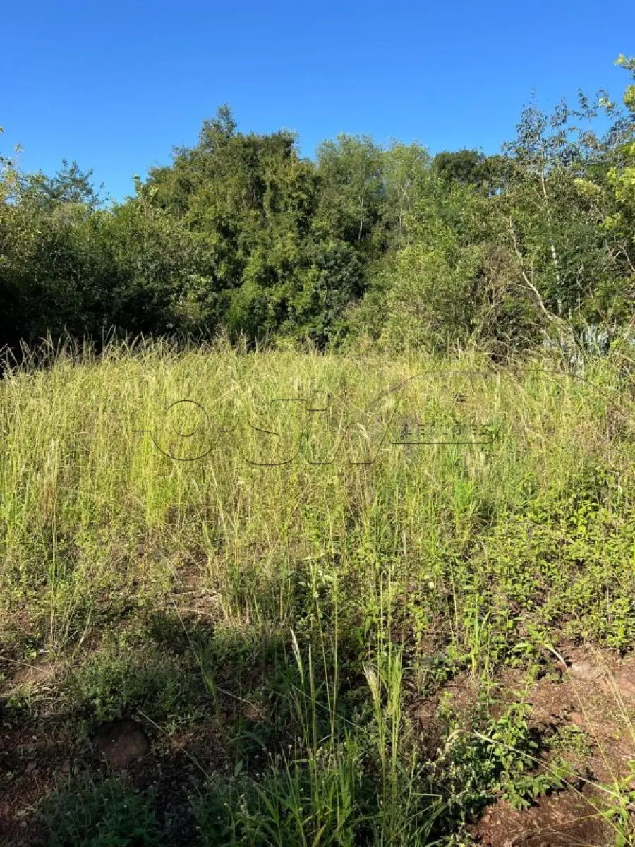 LOTE 001 - IMÓVEL RURAL