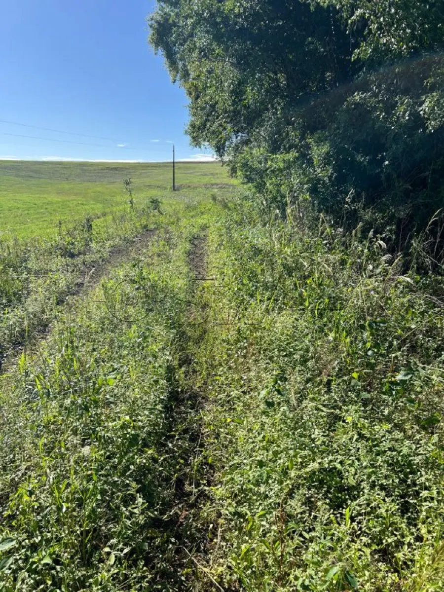 LOTE 001 - IMÓVEL RURAL