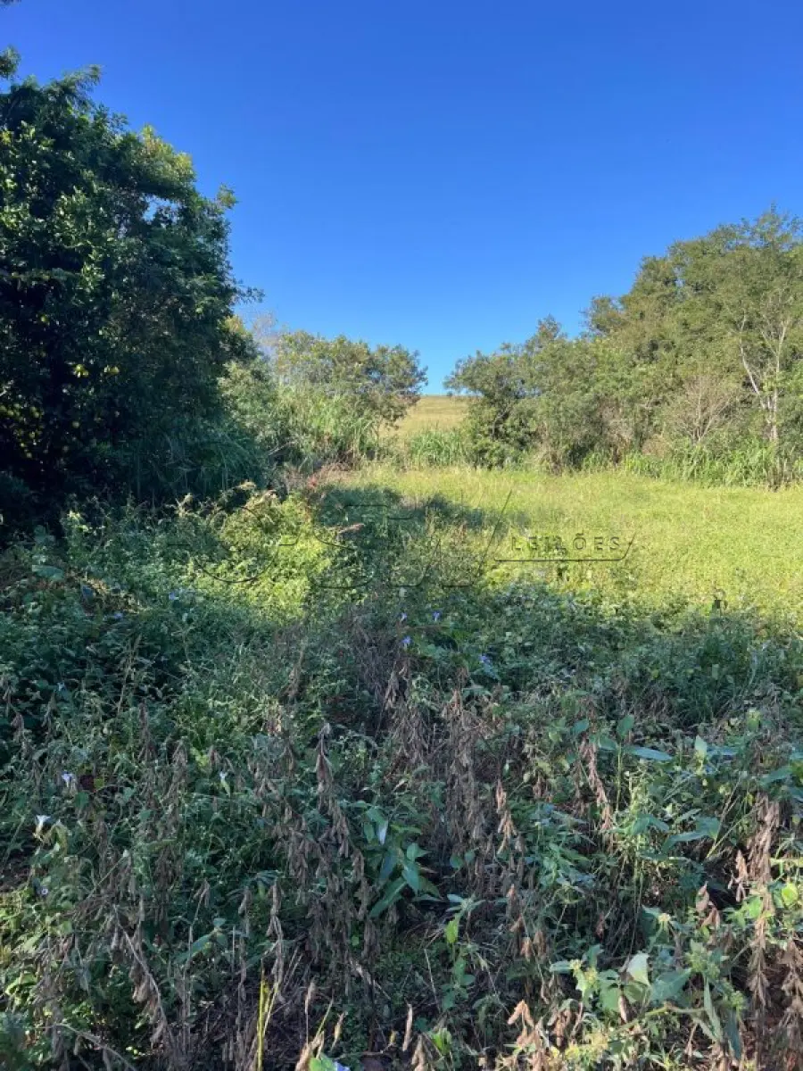LOTE 001 - IMÓVEL RURAL
