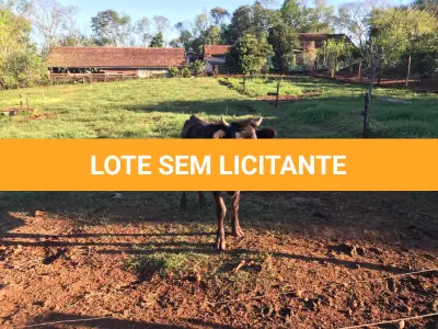 LOTE 003 - 01 TOURINHO