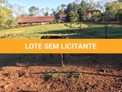 LOTE 003 - 01 TOURINHO