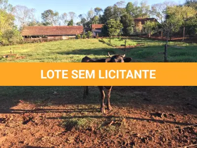 LOTE 003 - 01 TOURINHO