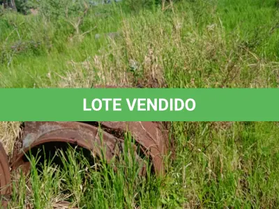 LOTE 001 - Peneira rotativa M Plang / Britador Plang / Dois Motores Weg