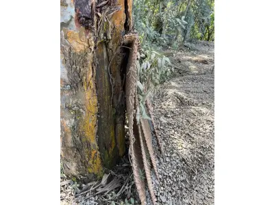 LOTE 018 - sucatas de peneiras e mandíbula para britagem