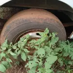 LOTE 006 - CAMINHONETE (AMBULÂNCIA) FORD TRANSIT TCA AMB, Placas ITA 0694, RENAVAM 00462519210
